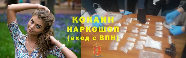 гидра Касимов