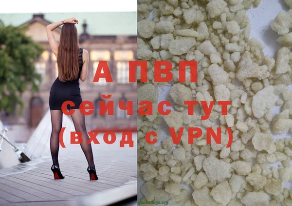 гидра Касимов
