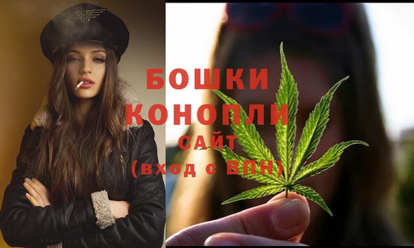гидра Касимов