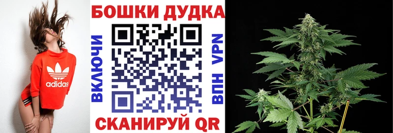 Бошки марихуана OG Kush  Купить где  Крым 